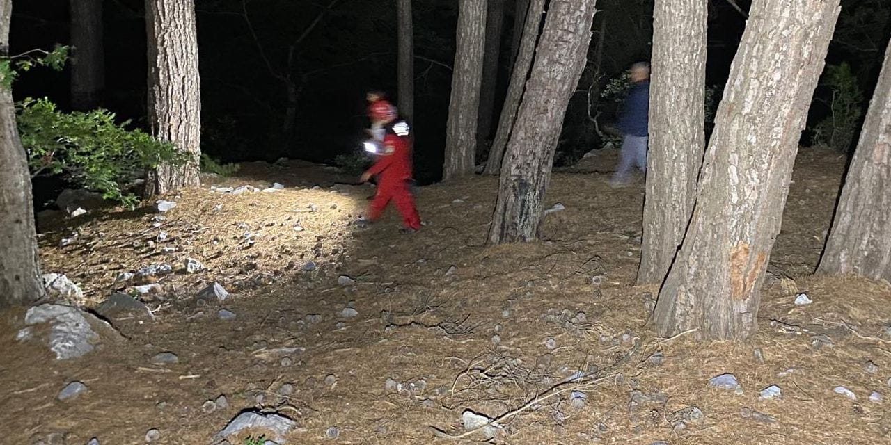 Mantar toplamaya çıktı ormanda kayboldu: Her yerde aranıyor