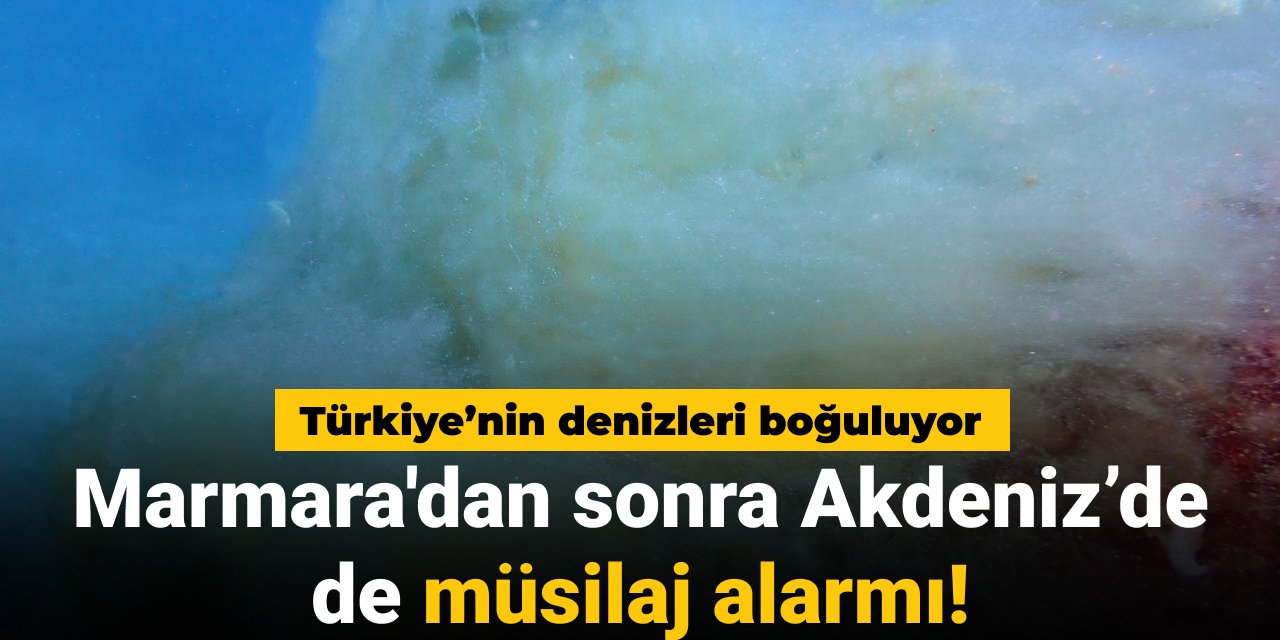Türkiye’nin denizleri boğuluyor: Marmara'dan sonra Akdeniz’de de müsilaj alarmı!