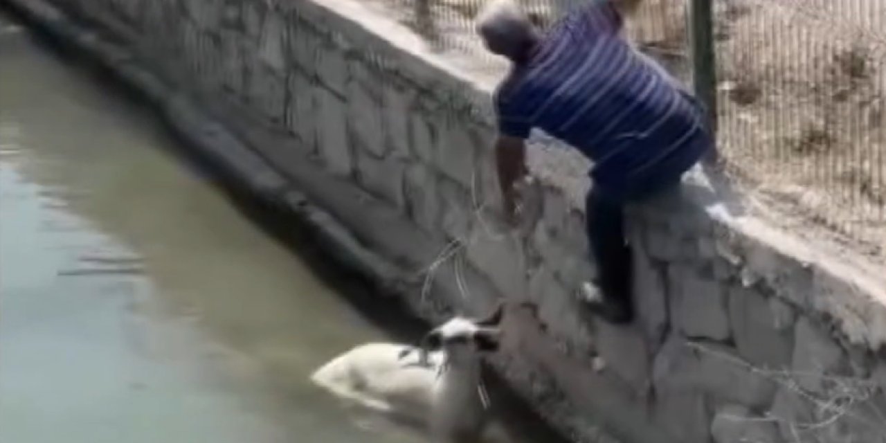 Antalya'da kaçan kurban dereye atladı: Ortalığı birbirine kattı