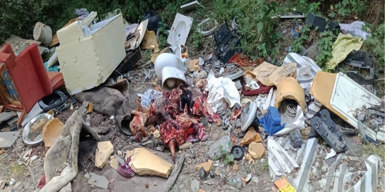 Sakarya ormanlarında kurban atığı kirliliği