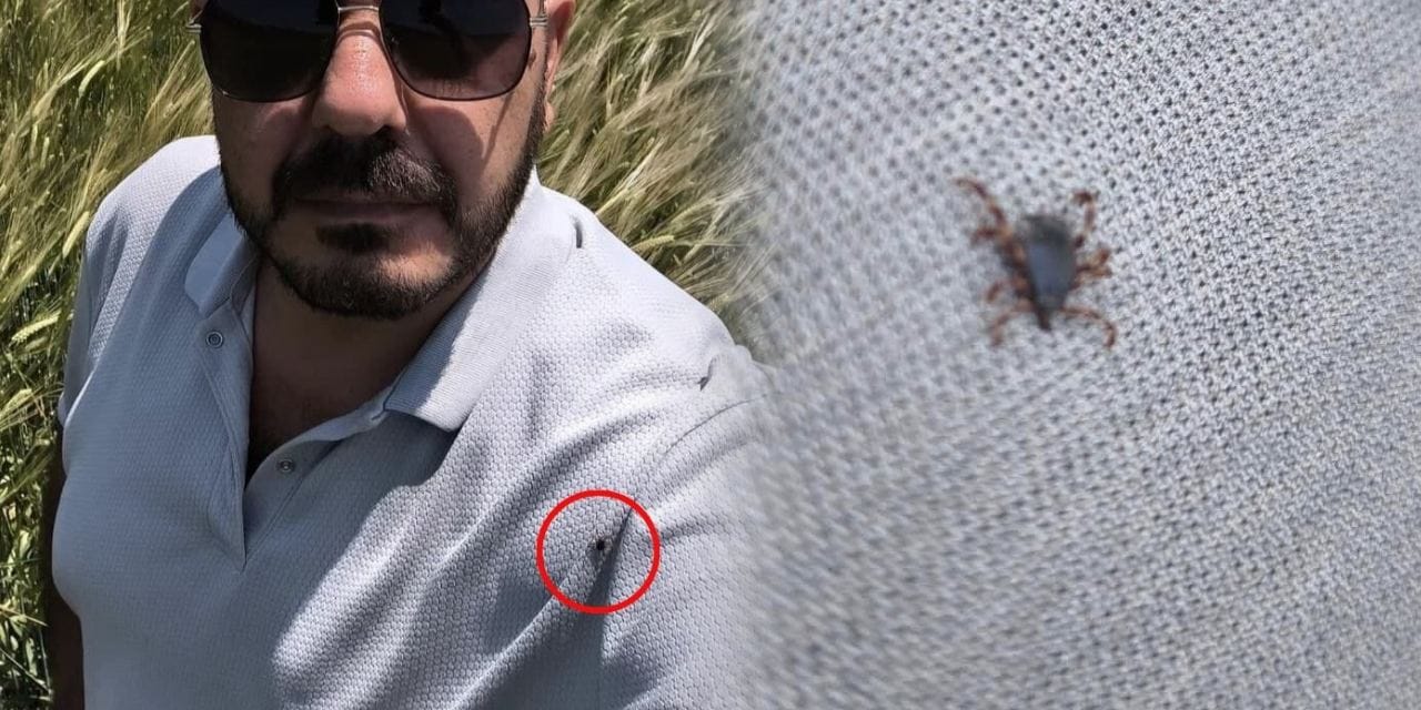 Üzerinden 25 keneyi temizledi! Fotoğraf çekerken fark etti