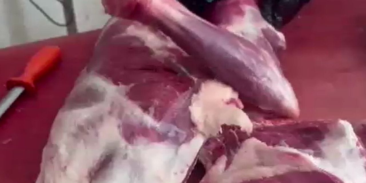 Kurban Bayramı’nda kasaplarda hareketlilik zirvede