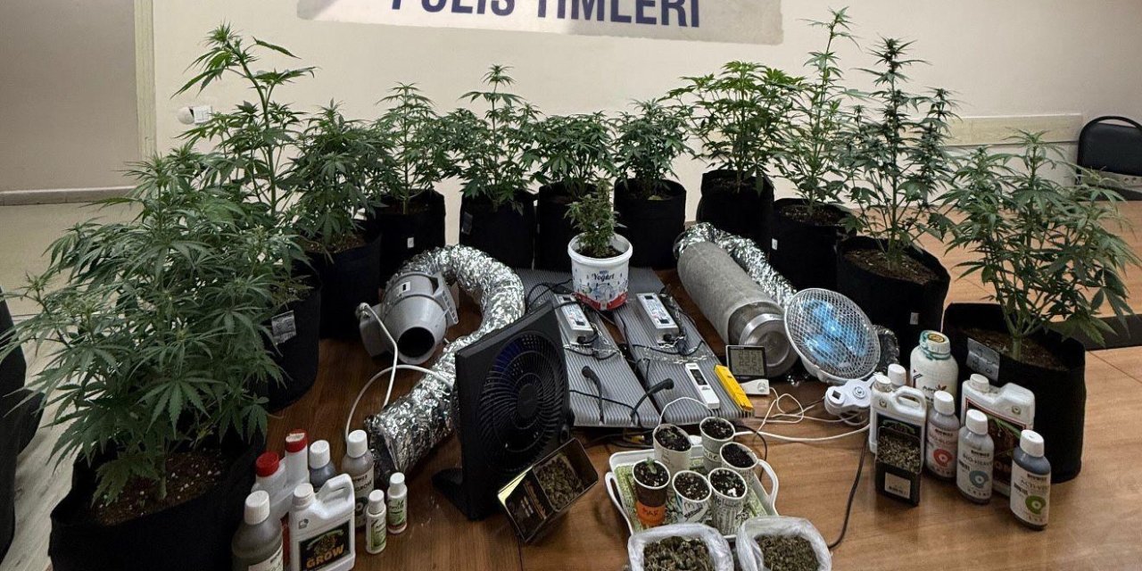 Sarıyer'de uyuşturucu serasına çevrilen eve baskın: Polis kapıyı kırarak açtı