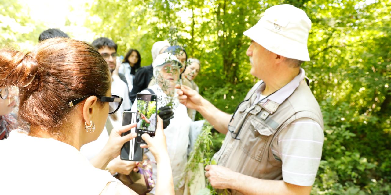Maydanozla karıştırılıyor, zehir saçıyor! Uzmanlardan kritik uyarı