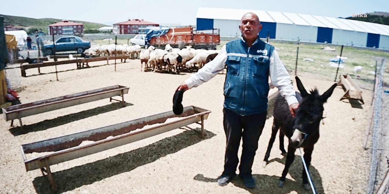 Yozgatlı besiciler satışlardan memnun değil: Kurbanlıklar elde kaldı