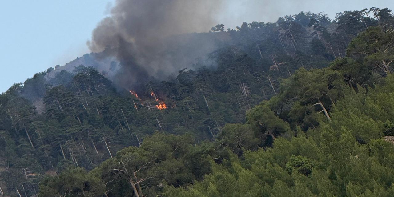 Yıldırım düşmesiyle alev alan orman, 2,5 saatte söndürüldü