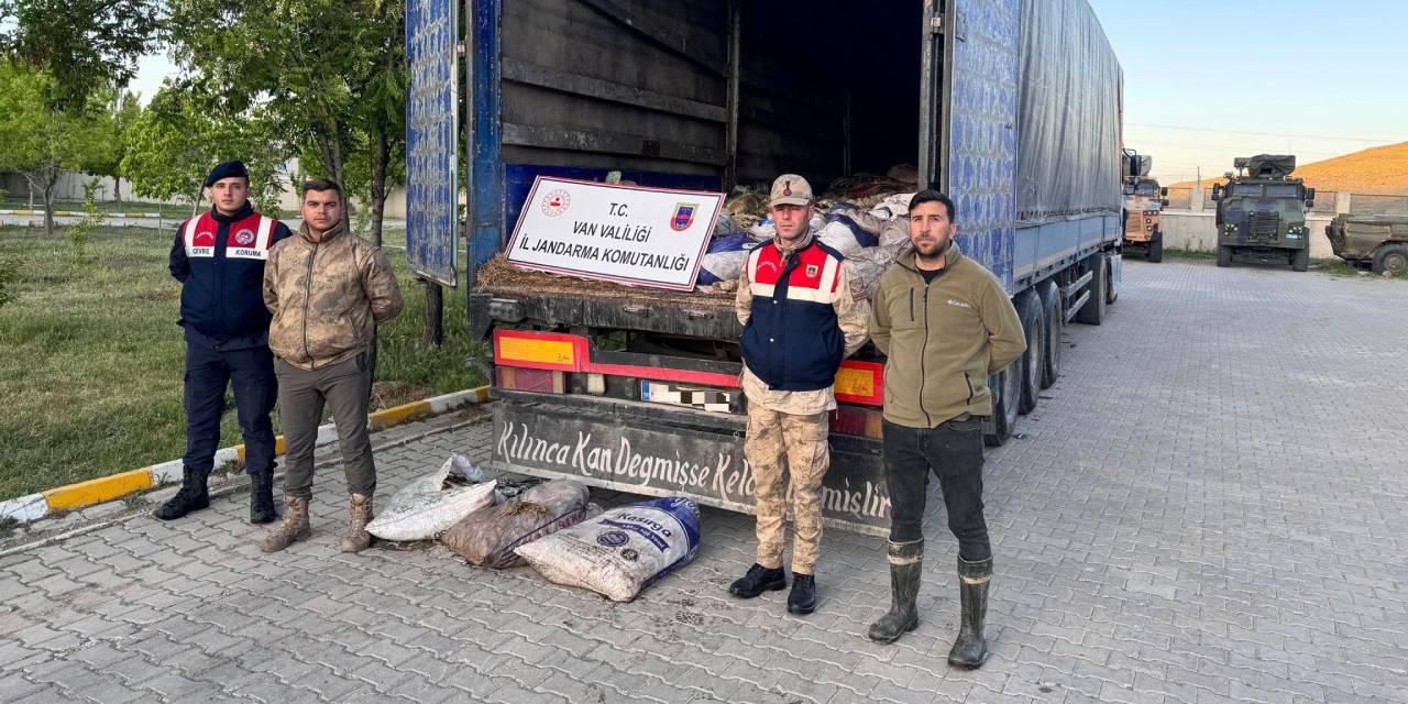 19 ton ölü inci kefali ele geçirildi