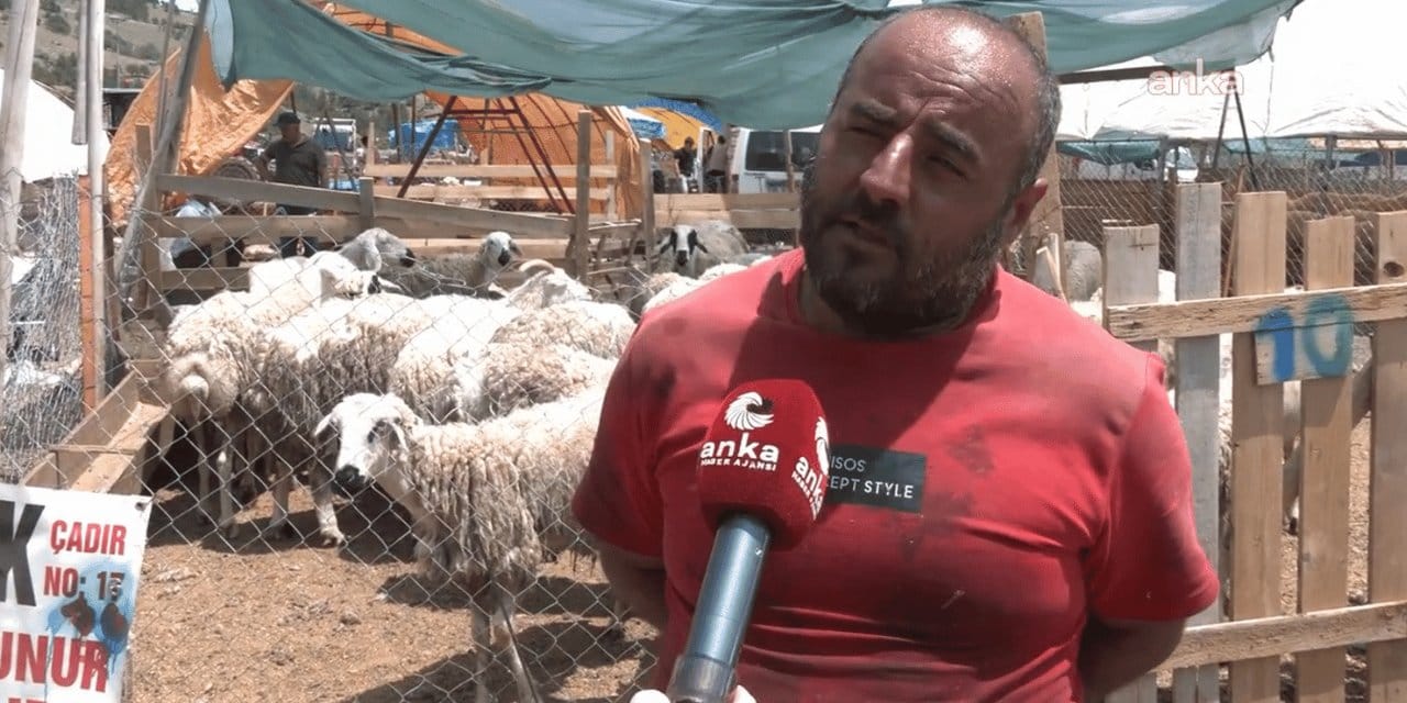 Ankaralı besici: Vekilin ucuza et yediği yerde vatandaş ot yiyiyor