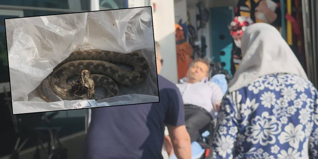 Ailesiyle gittiği bayram pikniği zehir oldu