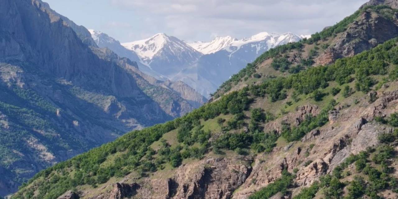 Mantar toplarken kaybolan adam ölü bulundu