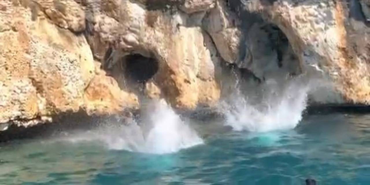 Dünyada bin Türkiye'de 100 tane vardı: Mersin'de ortaya çıktı