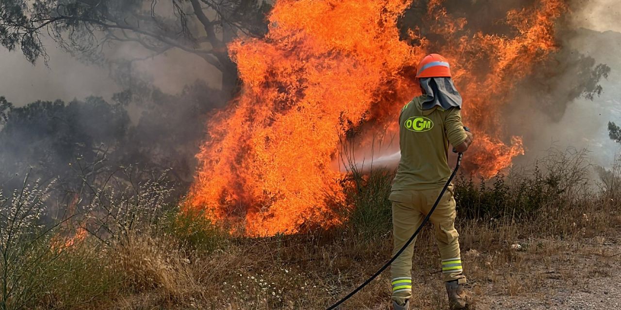 Muğla'da orman yangını: 2 hektarlık alan zarar gördü