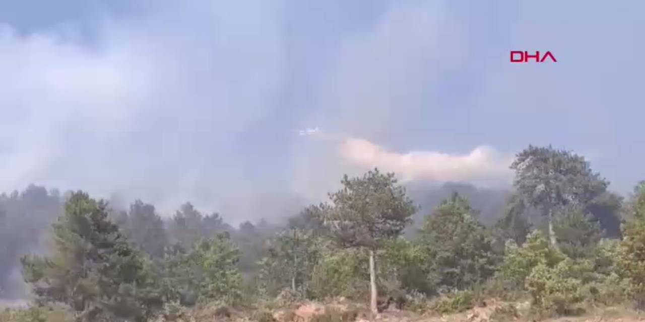 Balıkesir'deki orman yangınına havadan müdahale