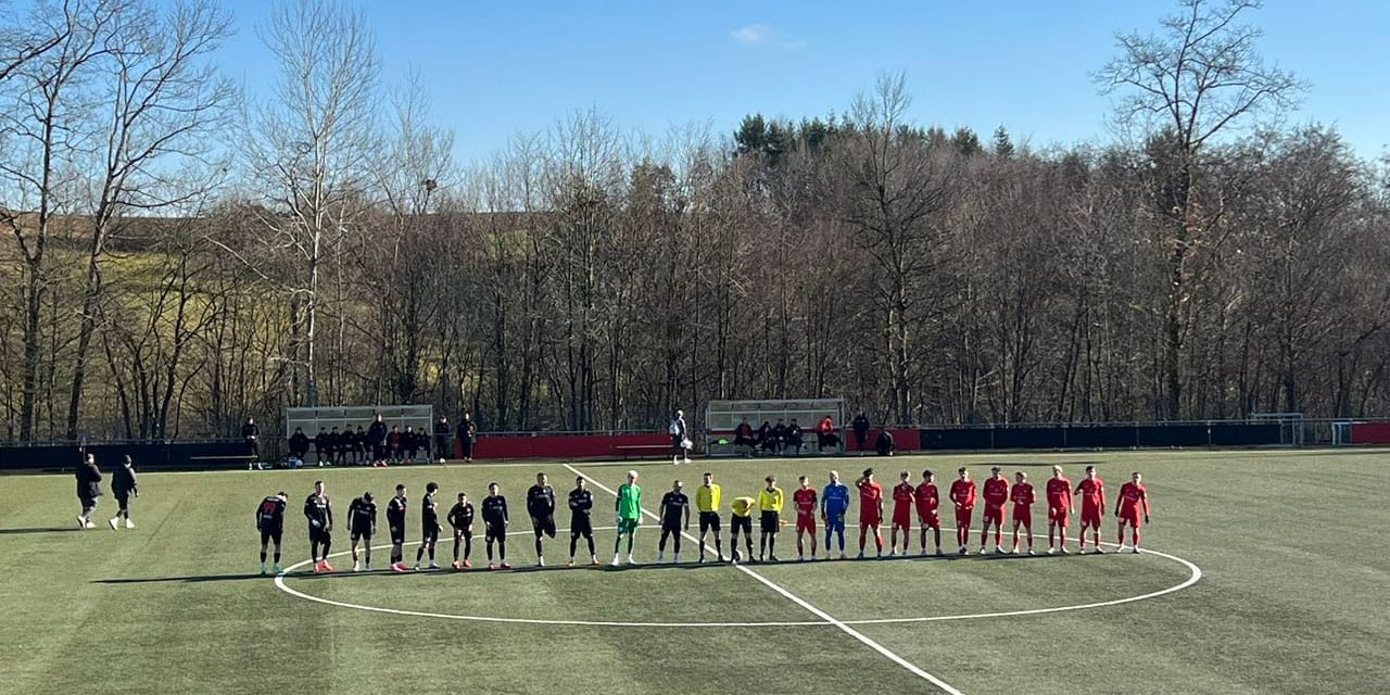 Türk takımı 56 yıl sonra Almanya'da şampiyon oldu