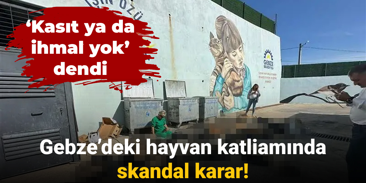 Gebze'deki hayvan katliamında skandal karar: 'Kasıt ya da ihmal yok' dendi