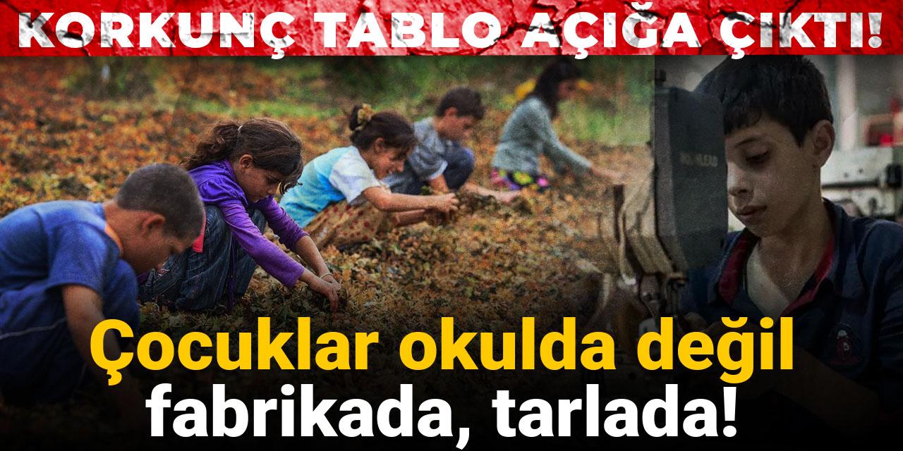 Korkunç tablo açığa çıktı! Çocuklar okulda değil fabrikada, tarlada
