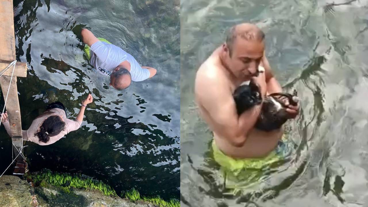 Adalıların umutlu bekleyişi sevince dönüştü! Küçük kedi 8 günün ardından kurtarıldı