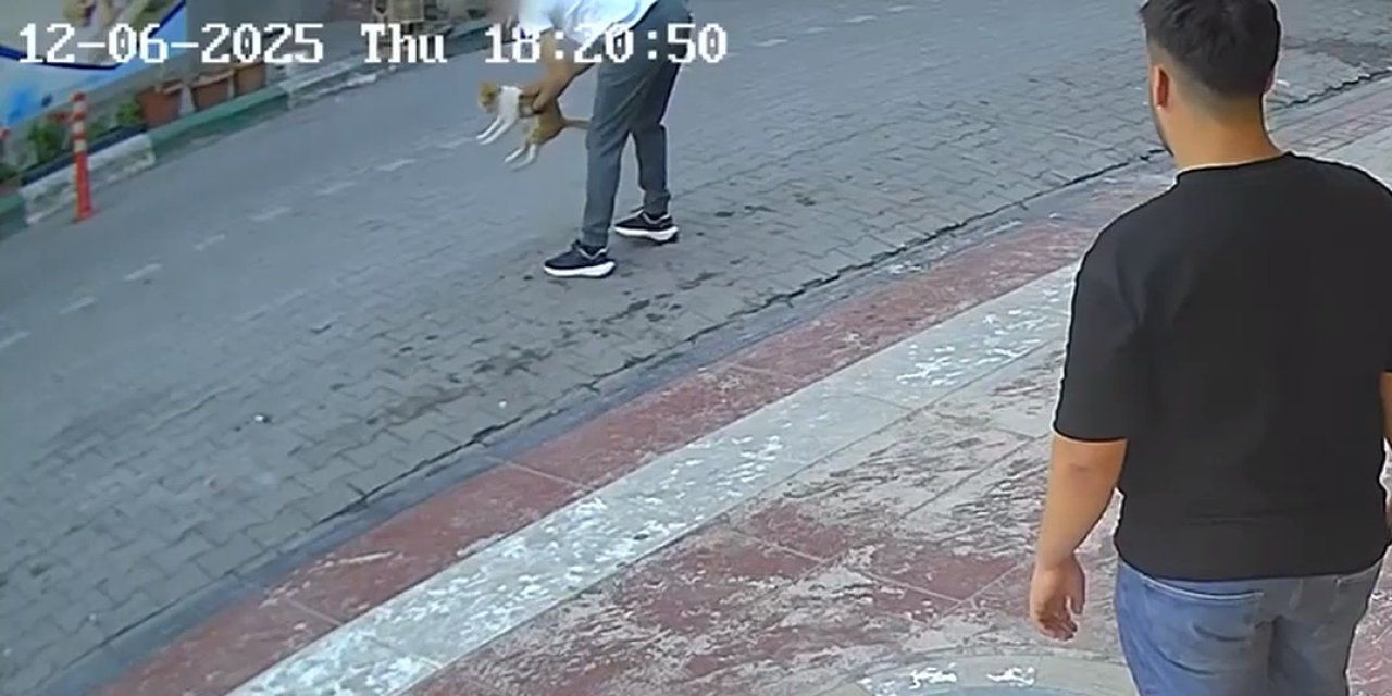 Boğulan kediyi Heimlich manevrasıyla kurtardı