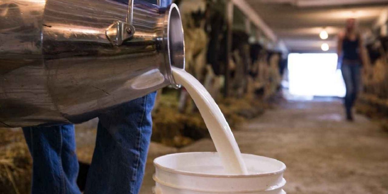 Artış kontrolden çıktı: Yüzde 700’ü aştı