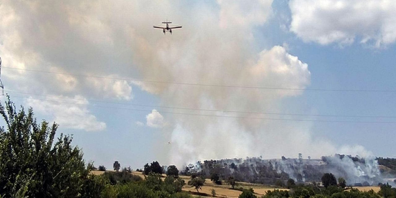 Edirne’de ormanlık alanda yangın çıktı