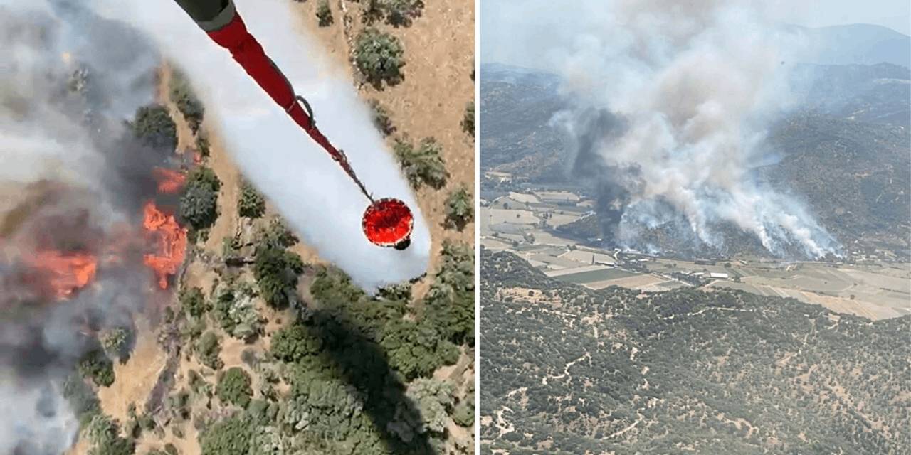Aydın'da yangın alarmı!