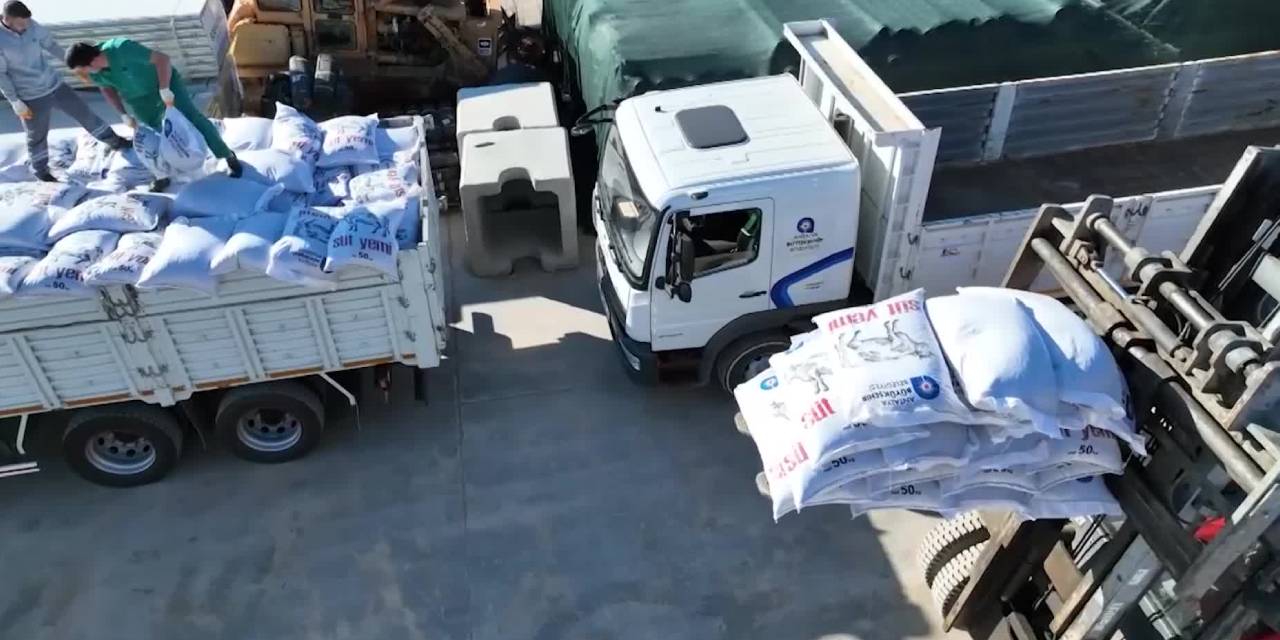 Belediyeden hayvancılığa yerinde destek