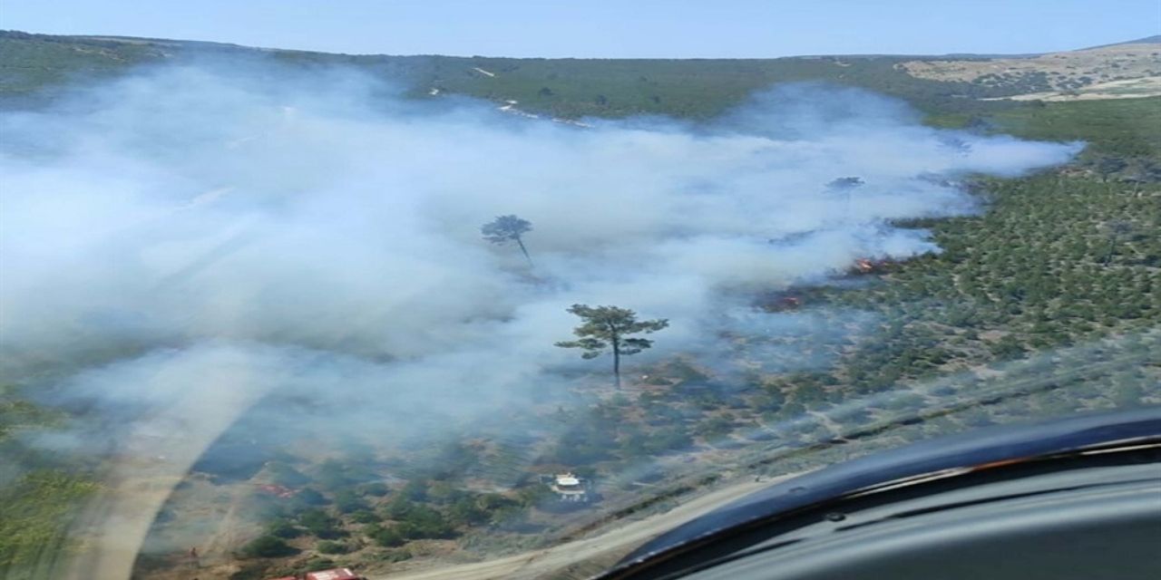 Manisa'da korkutan orman yangını