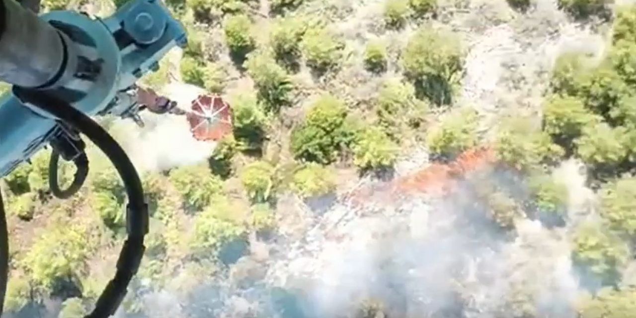 Soma’da alevler ormanı sardı