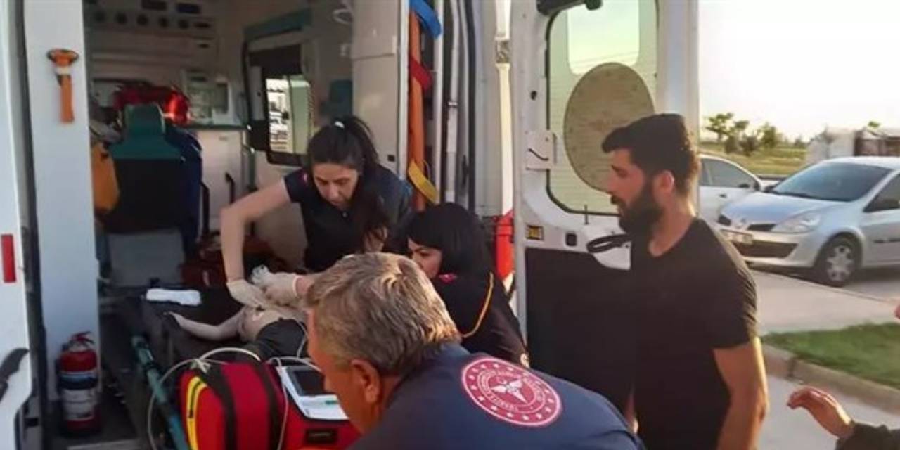 Anne-babası kabusu yaşadı! 1 yaşındaki Asaf'ın kalbi yeniden çalıştırıldı