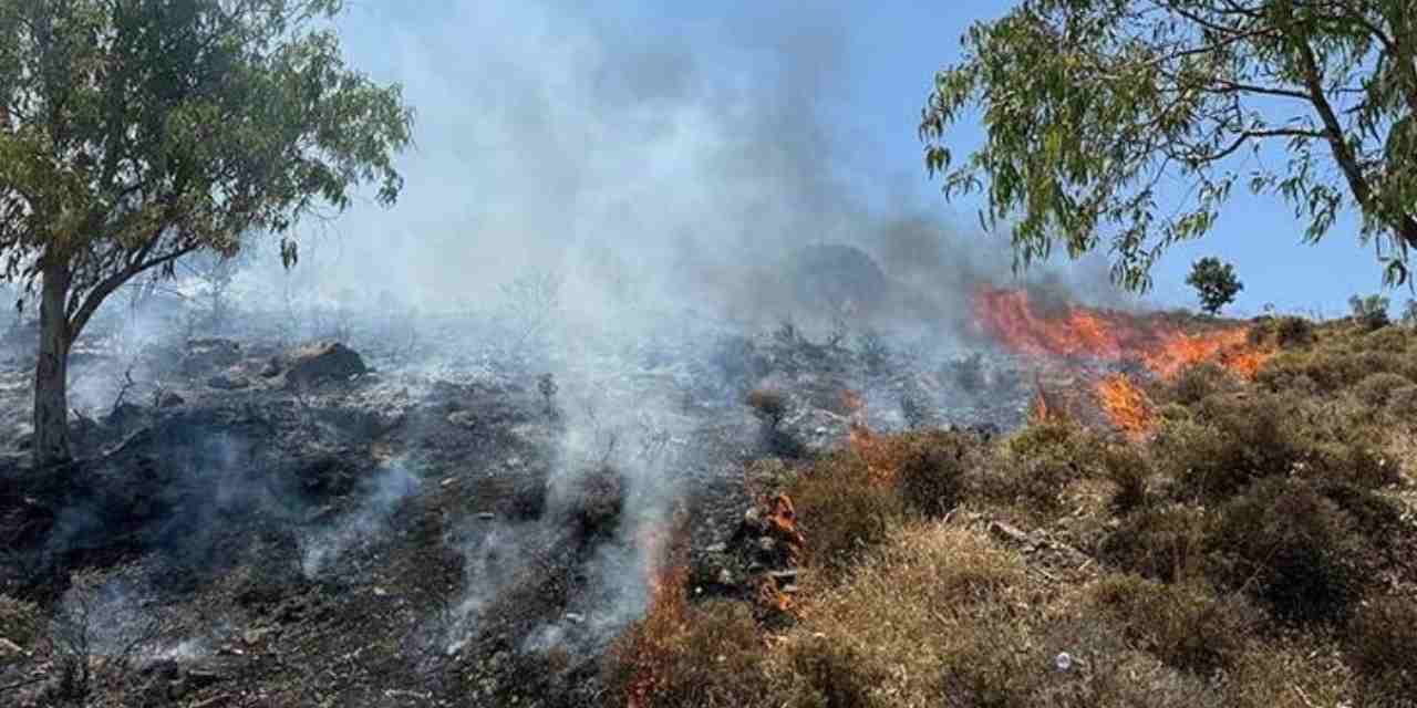 Bodrum'da yangın: Ormanlık alan alev aldı