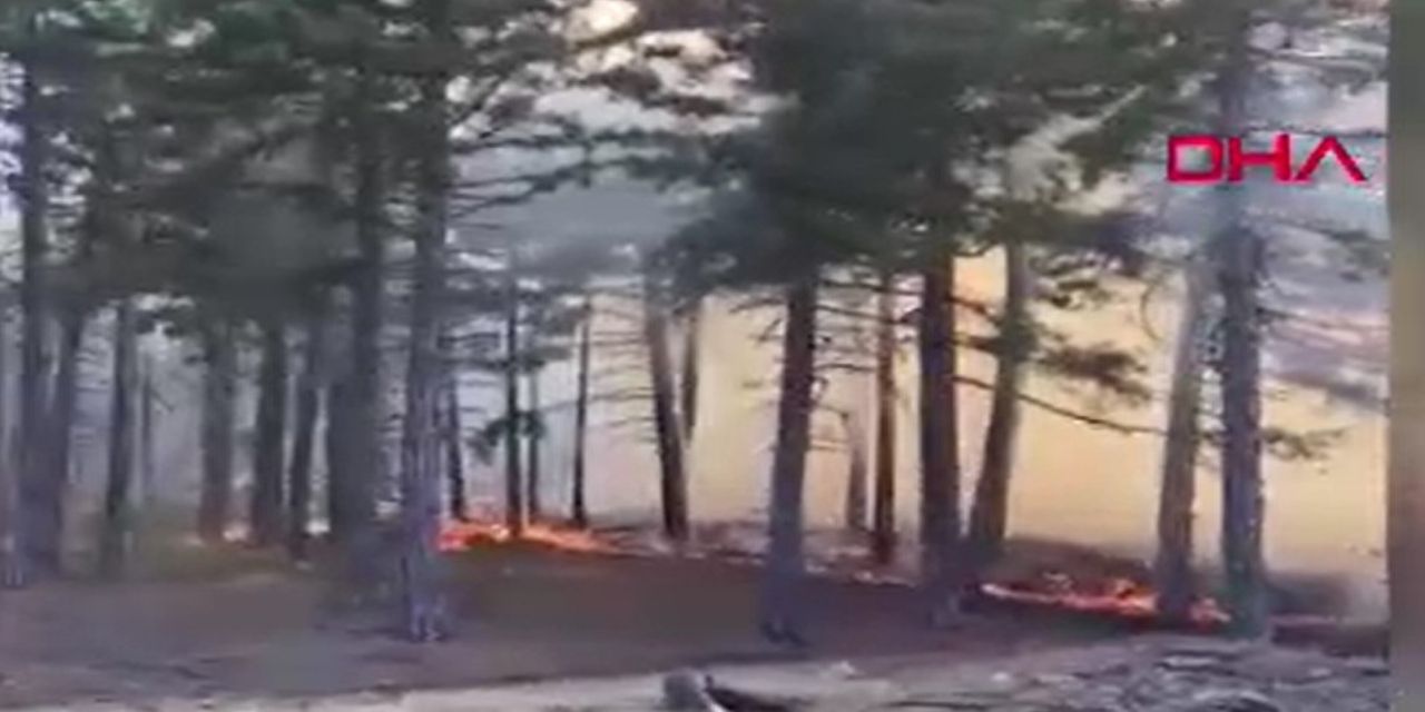 Adana'da ormanlık alanda yangın çıktı