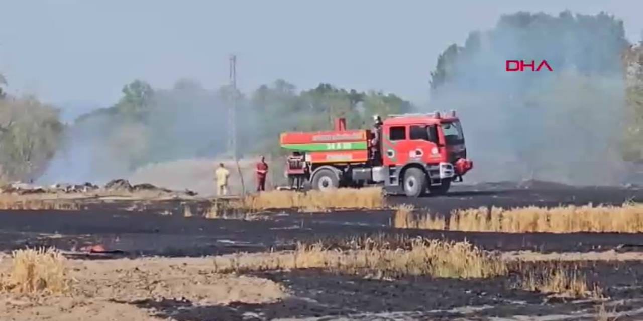 Nehir kenarına bırakılan atıklar çiftçiyi 10 dönümlük buğdaydan etti