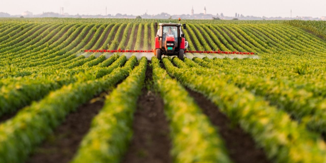 TÜİK tarım ÜFE verilerini açıkladı