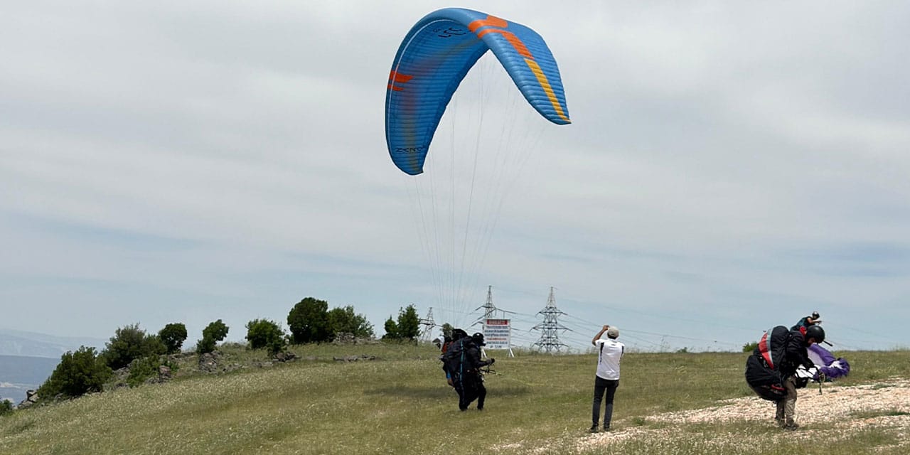 Kahramanmaraş'tan Şanlıurfa'ya 238 kilometre uçtu: Viranşehir'de bir tarlaya indi
