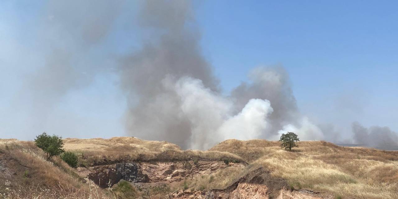 70 dönümlük buğday tarlası yandı