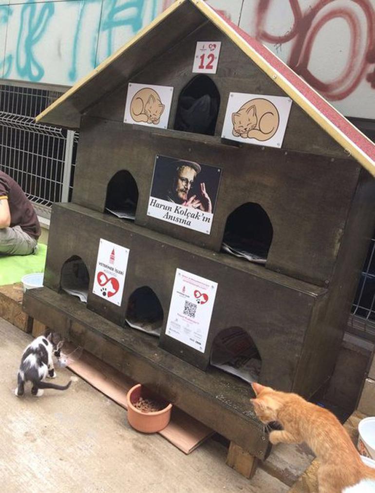 Harun Kolçak'ın vasiyeti yerine getirildi!