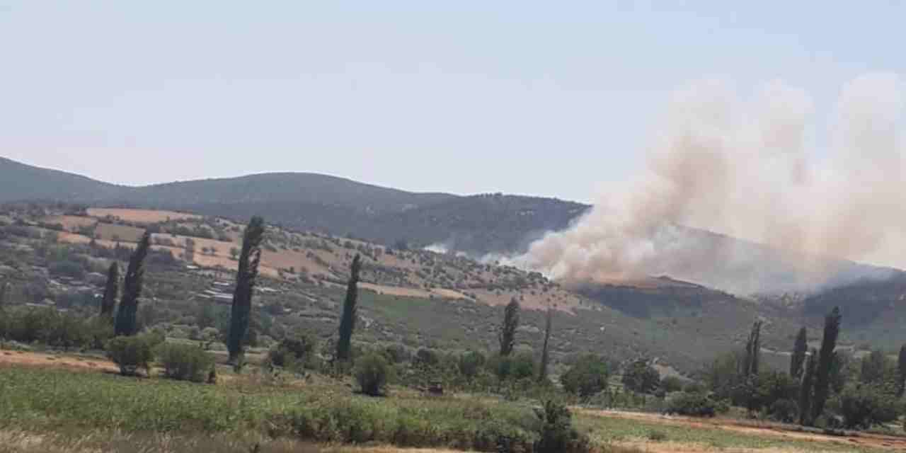 Balıkesir'de korkutan görüntü