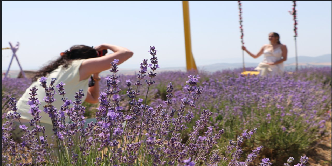 Fotoğrafçıların yeni gözdesi lavanta tarlaları