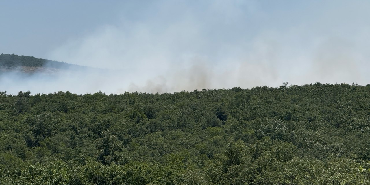 Bursa Nilüfer'de orman yangını kontrol altına alındı