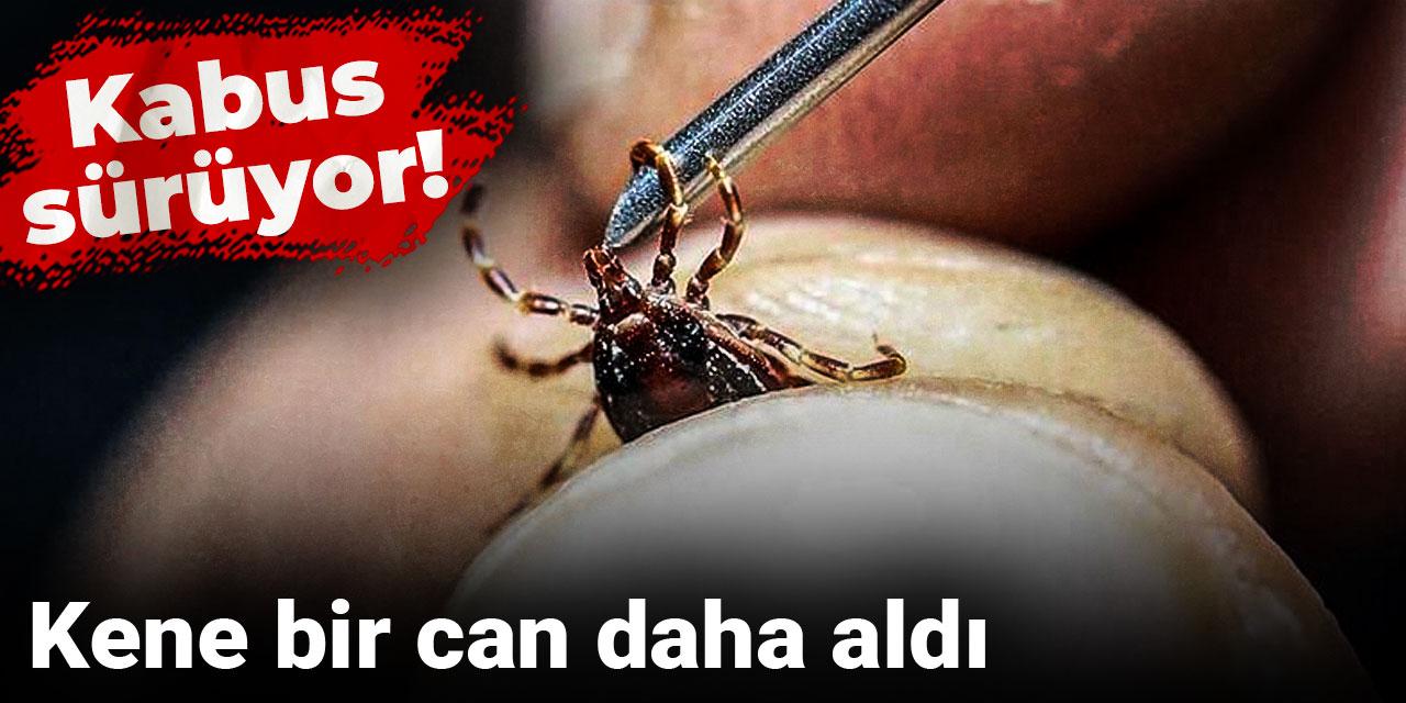 Kabus sürüyor! Kene bir can daha aldı