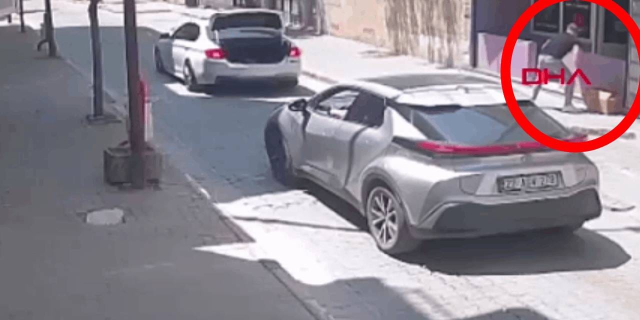 Köpeği koli içerisine koyup ölüme terk etti! O anlar kamerada