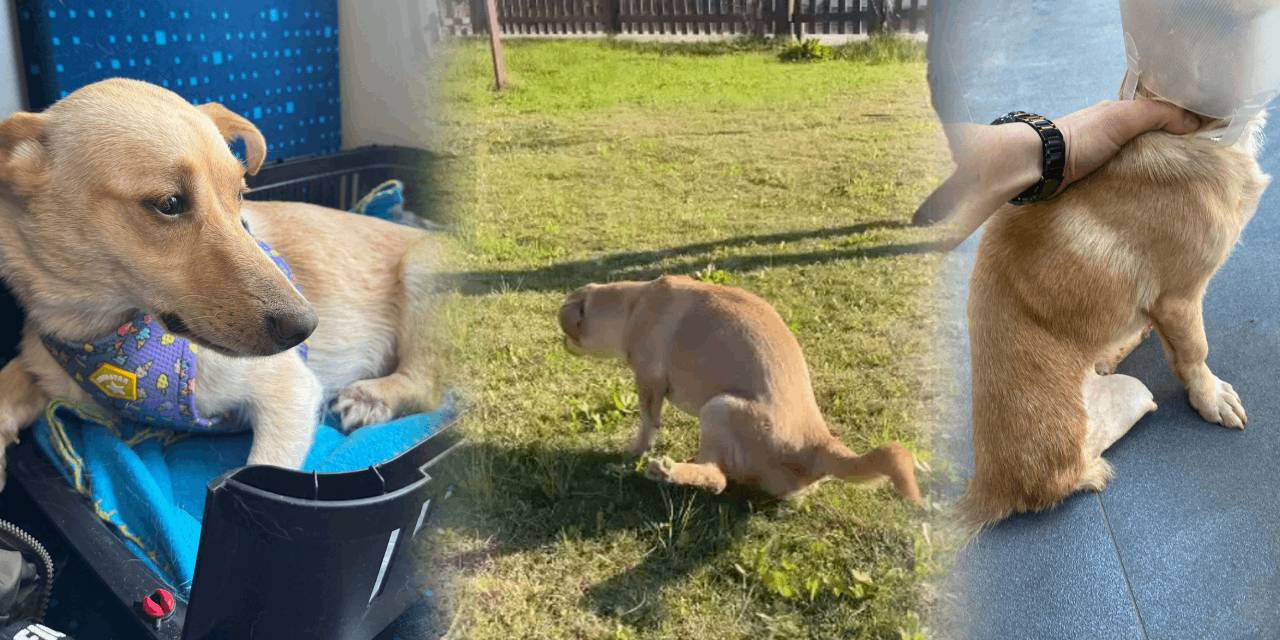 Şiddet gördü, felç kaldı, mucize gibi iyileşti