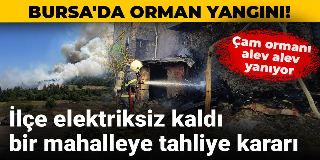 Bursa'da orman yangını! İlçe elektriksiz kaldı bir mahalleye tahliye kararı