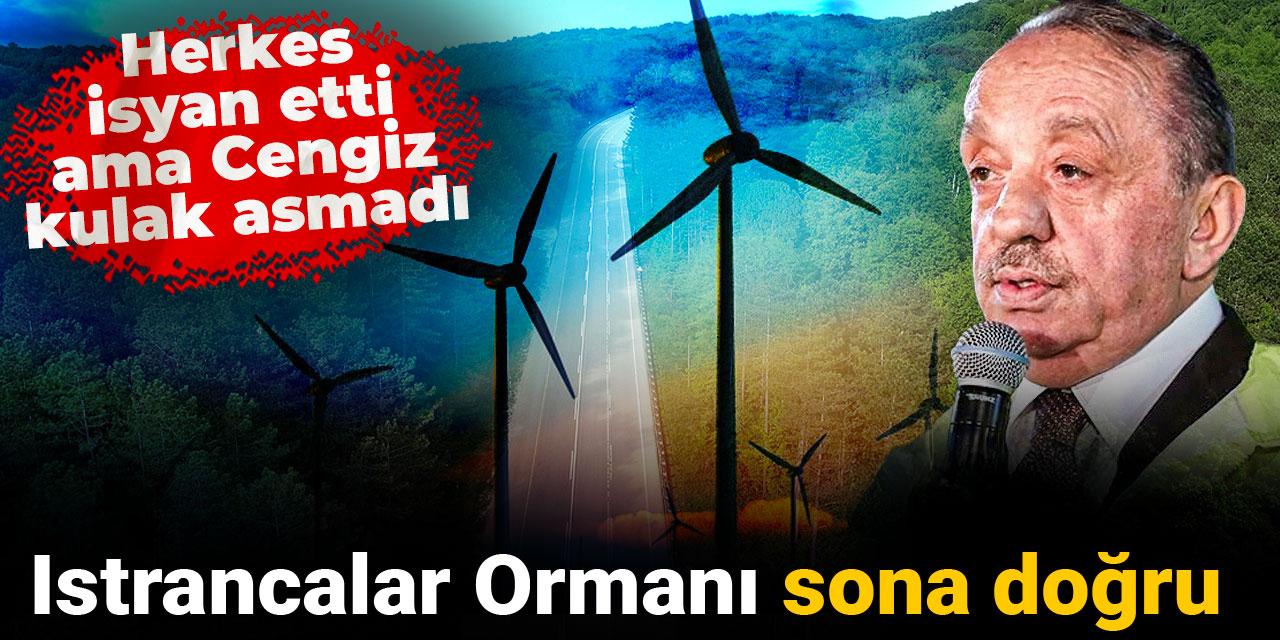 Herkes isyan etti ama Cengiz kulak asmadı: Istrancalar Ormanı sona doğru