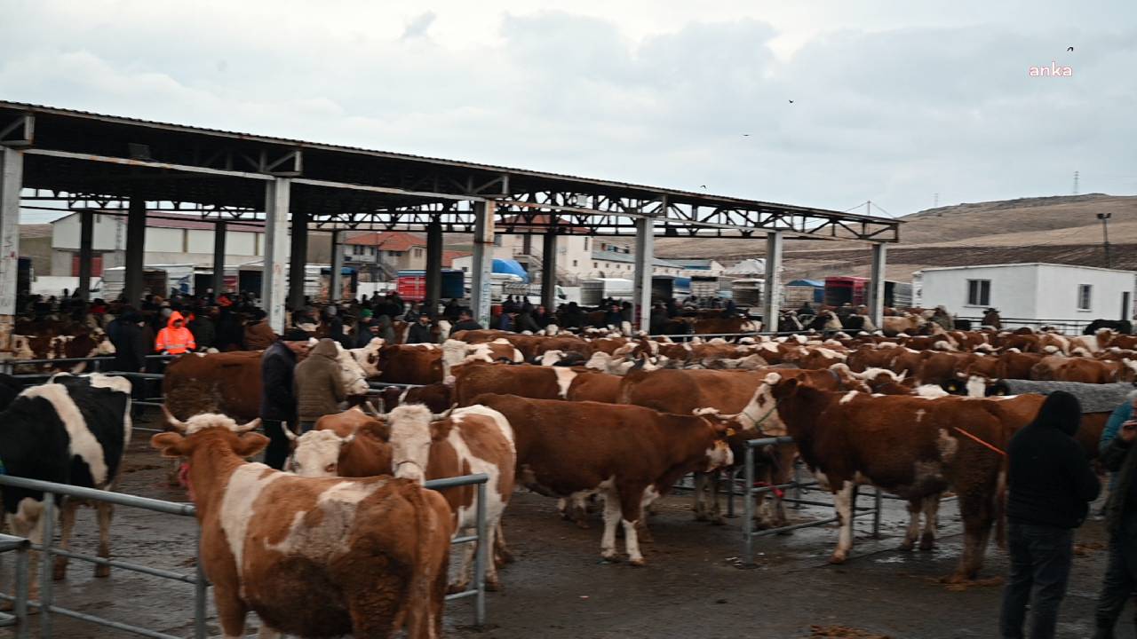 Yozgat’ta hayvan pazarları 'acil' kapatıldı