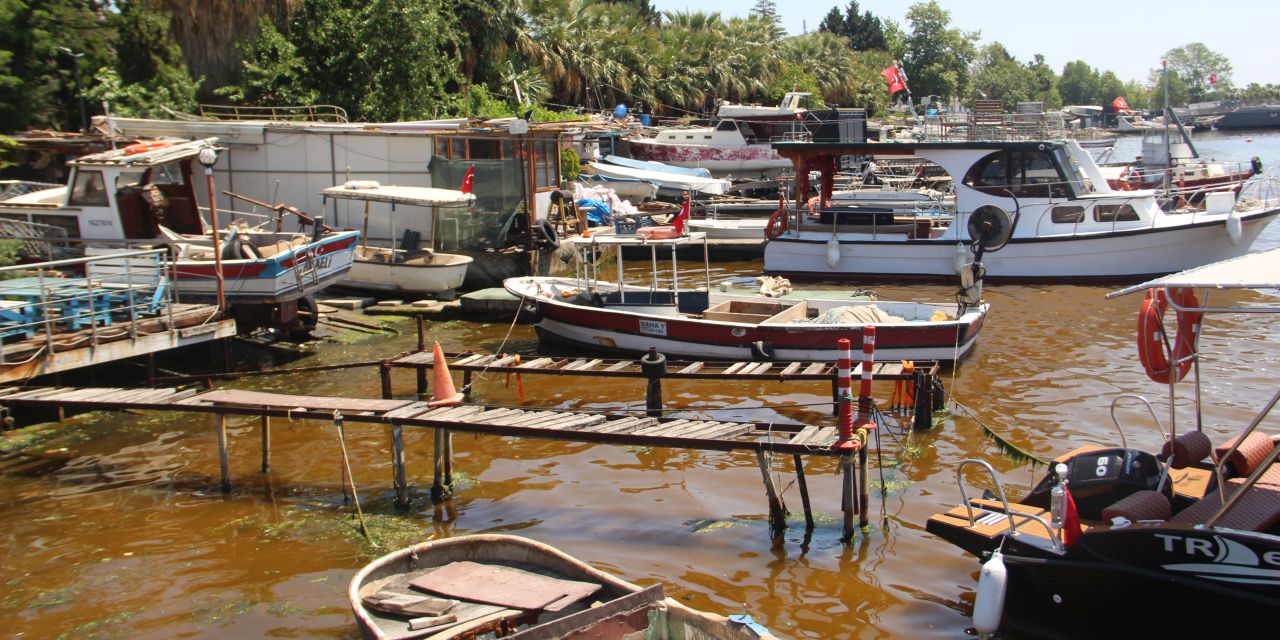 İzmit Körfezi'nin rengi değişti: Ekosistemdeki canlılara zarar verme potansiyeli var!