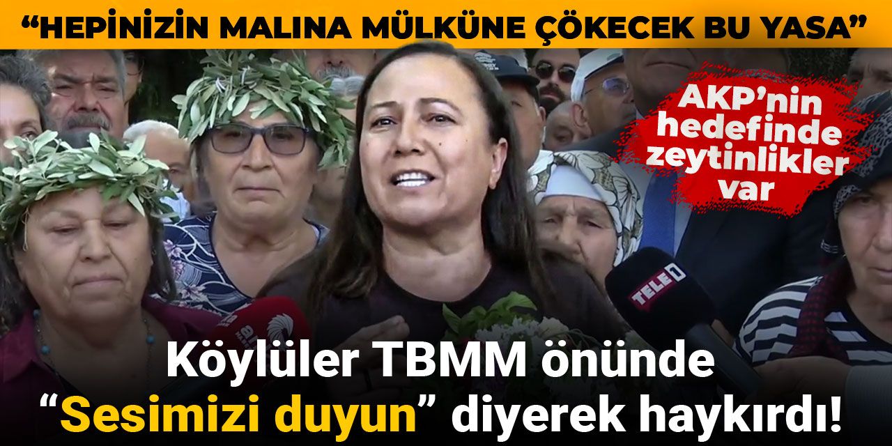 AKP’nin hedefinde zeytinlikler var! Köylüler TBMM önünde “Sesimizi duyun” diyerek haykırdı!