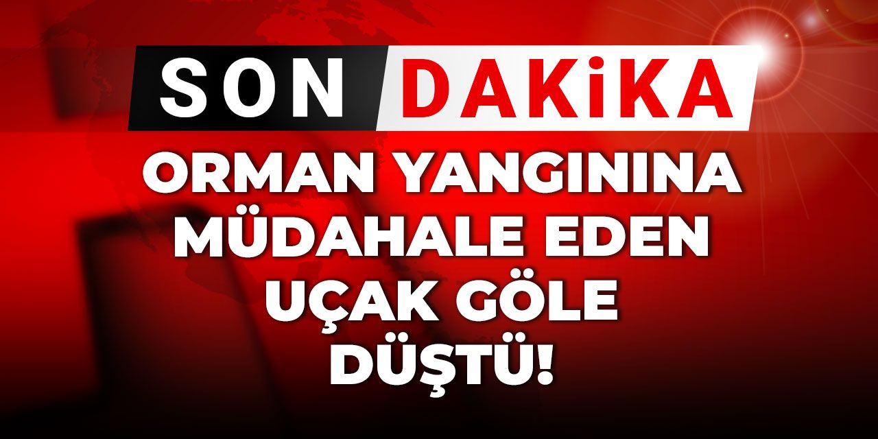 Son Dakika | Orman yangınına müdahale eden uçak göle düştü!