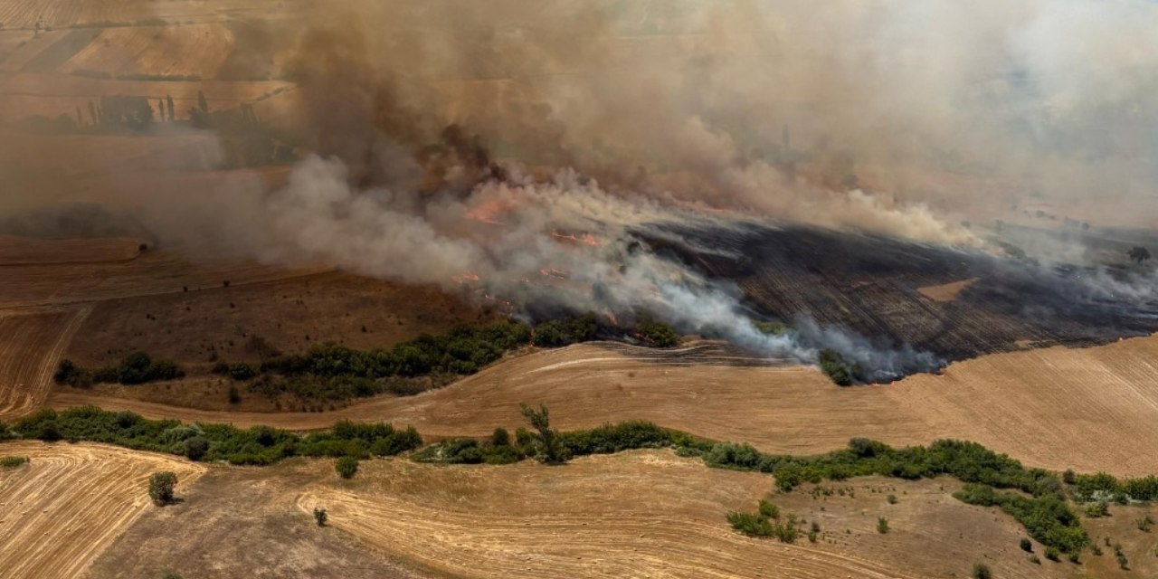 Tarım arazisi alev alev! Balıkesir'de yangın