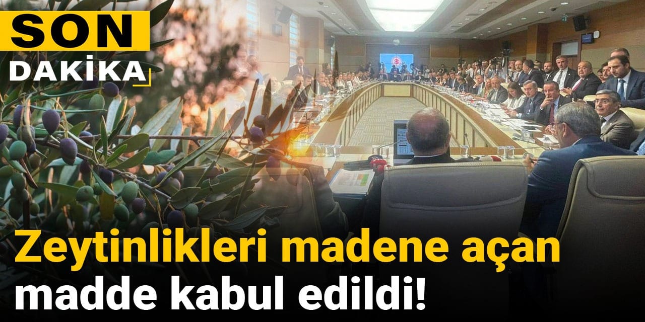 Son dakika | Zeytinlikleri madene açan madde kabul edildi